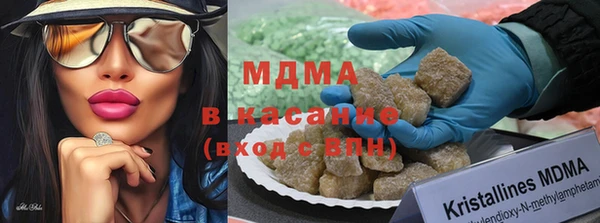 PSILOCYBIN Алзамай