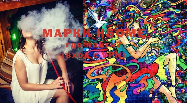 PSILOCYBIN Алзамай
