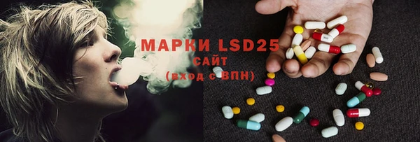 PSILOCYBIN Алзамай