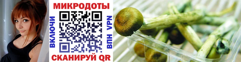 Псилоцибиновые грибы Psilocybe Шумерля
